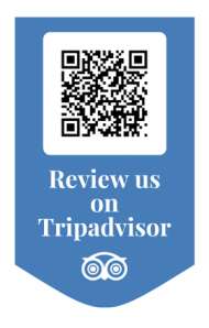 tripadvisor